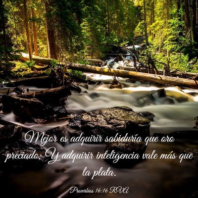 Picture 03 - Proverbios 16:16 RVA - Mejor es adquirir sabiduría que oro preciado; Y - Bible Verse Picture