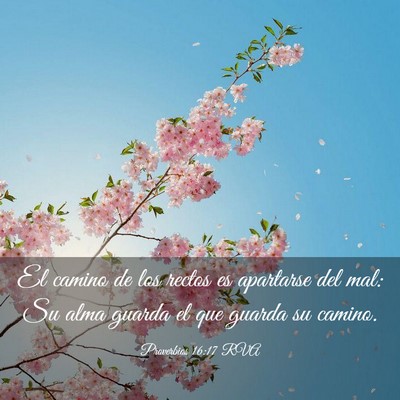 Picture 03 - Proverbios 16:17 RVA - El camino de los rectos es apartarse del mal: Su - Bible Verse Picture