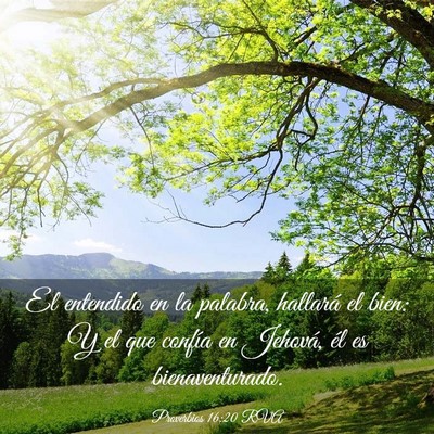 Picture 03 - Proverbios 16:20 RVA - El entendido en la palabra, hallará el bien: Y - Bible Verse Picture