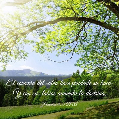 Picture 03 - Proverbios 16:23 RVA - El corazón del sabio hace prudente su boca; Y - Bible Verse Picture