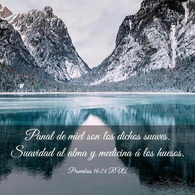 Picture 03 - Proverbios 16:24 RVA - Panal de miel son los dichos suaves. Suavidad al - Bible Verse Picture