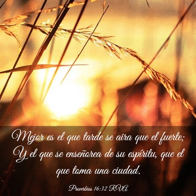 Picture 03 - Proverbios 16:32 RVA - Mejor es el que tarde se aira que el fuerte; Y el - Bible Verse Picture