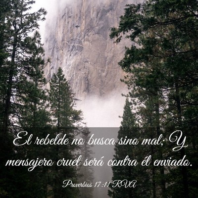 Picture 03 - Proverbios 17:11 RVA - El rebelde no busca sino mal; Y mensajero cruel - Bible Verse Picture