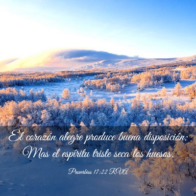 Picture 03 - Proverbios 17:22 RVA - El corazón alegre produce buena disposición: - Bible Verse Picture