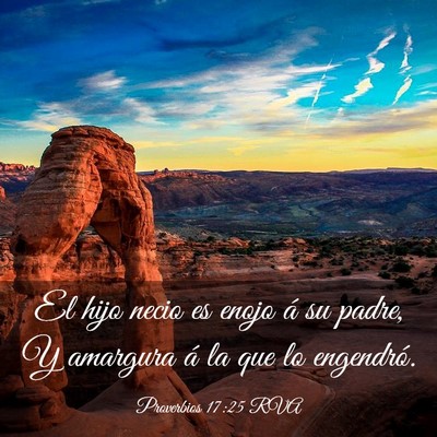 Picture 03 - Proverbios 17:25 RVA - El hijo necio es enojo á su padre, Y amargura á - Bible Verse Picture