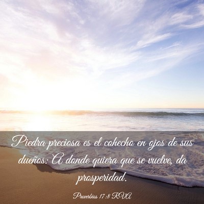 Picture 03 - Proverbios 17:8 RVA - Piedra preciosa es el cohecho en ojos de sus - Bible Verse Picture