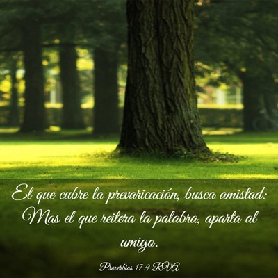 Picture 03 - Proverbios 17:9 RVA - El que cubre la prevaricación, busca amistad: - Bible Verse Picture