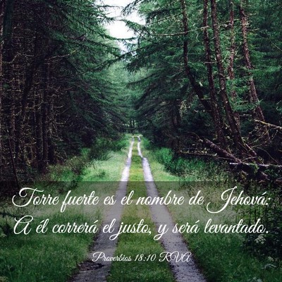 Picture 03 - Proverbios 18:10 RVA - Torre fuerte es el nombre de Jehová: A él - Bible Verse Picture
