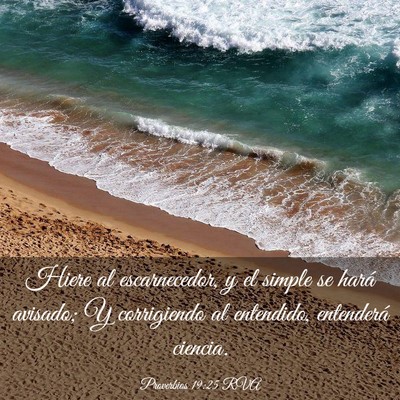 Picture 03 - Proverbios 19:25 RVA - Hiere al escarnecedor, y el simple se hará - Bible Verse Picture