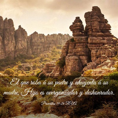 Picture 03 - Proverbios 19:26 RVA - El que roba á su padre y ahuyenta á su madre, - Bible Verse Picture