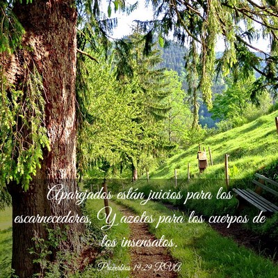 Picture 03 - Proverbios 19:29 RVA - Aparejados están juicios para los - Bible Verse Picture