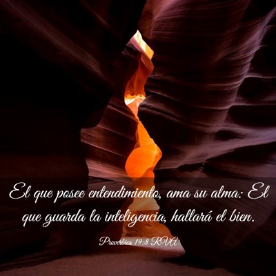 Picture 03 - Proverbios 19:8 RVA - El que posee entendimiento, ama su alma: El que - Bible Verse Picture