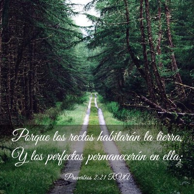 Picture 03 - Proverbios 2:21 RVA - Porque los rectos habitarán la tierra, Y los - Bible Verse Picture