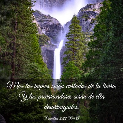 Picture 03 - Proverbios 2:22 RVA - Mas los impíos serán cortados de la tierra, Y - Bible Verse Picture