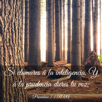 Picture 03 - Proverbios 2:3 RVA - Si clamares á la inteligencia, Y á la prudencia - Bible Verse Picture