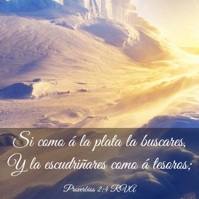 Picture 03 - Proverbios 2:4 RVA - Si como á la plata la buscares, Y la - Bible Verse Picture
