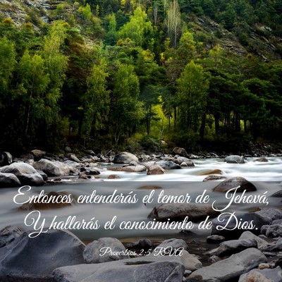 Picture 03 - Proverbios 2:5 RVA - Entonces entenderás el temor de Jehová, Y - Bible Verse Picture