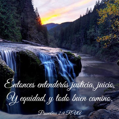 Picture 03 - Proverbios 2:9 RVA - Entonces entenderás justicia, juicio, Y equidad, - Bible Verse Picture