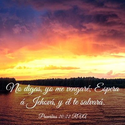 Picture 03 - Proverbios 20:22 RVA - No digas, yo me vengaré; Espera á Jehová, y - Bible Verse Picture