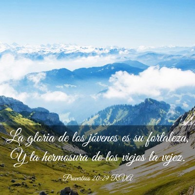 Picture 03 - Proverbios 20:29 RVA - La gloria de los jóvenes es su fortaleza, Y la - Bible Verse Picture