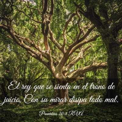 Picture 03 - Proverbios 20:8 RVA - El rey que se sienta en el trono de juicio, Con - Bible Verse Picture