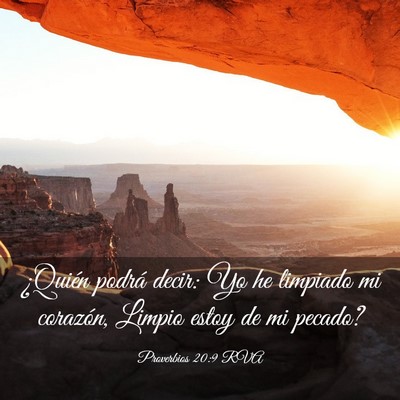 Picture 03 - Proverbios 20:9 RVA - ¿Quién podrá decir: Yo he limpiado mi - Bible Verse Picture