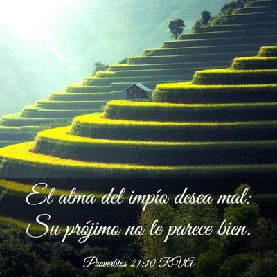 Picture 03 - Proverbios 21:10 RVA - El alma del impío desea mal: Su prójimo no le - Bible Verse Picture