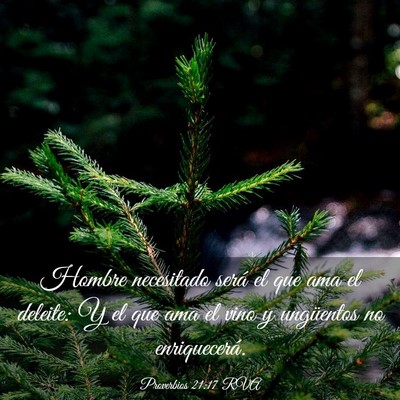 Picture 03 - Proverbios 21:17 RVA - Hombre necesitado será el que ama el deleite: Y - Bible Verse Picture