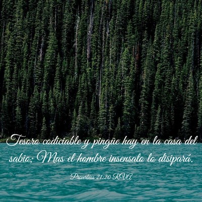 Picture 03 - Proverbios 21:20 RVA - Tesoro codiciable y pingüe hay en la casa del - Bible Verse Picture