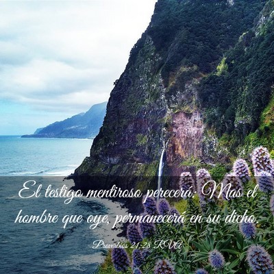 Picture 03 - Proverbios 21:28 RVA - El testigo mentiroso perecerá: Mas el hombre que - Bible Verse Picture