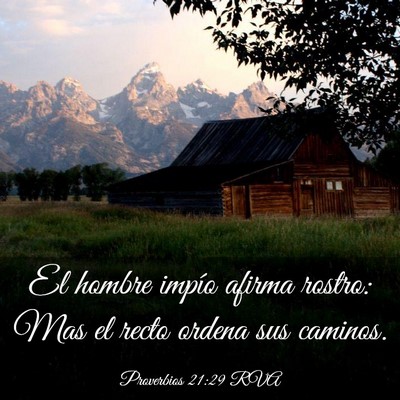Picture 03 - Proverbios 21:29 RVA - El hombre impío afirma rostro: Mas el recto - Bible Verse Picture
