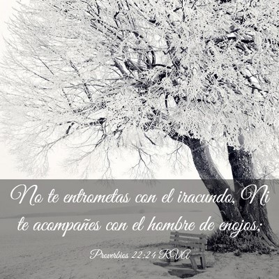 Picture 03 - Proverbios 22:24 RVA - No te entrometas con el iracundo, Ni te - Bible Verse Picture