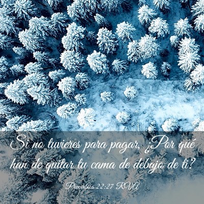 Picture 03 - Proverbios 22:27 RVA - Si no tuvieres para pagar, ¿Por qué han de - Bible Verse Picture