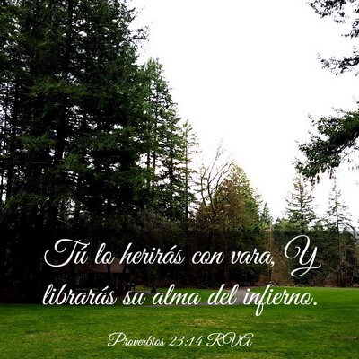 Picture 03 - Proverbios 23:14 RVA - Tú lo herirás con vara, Y librarás su alma del - Bible Verse Picture