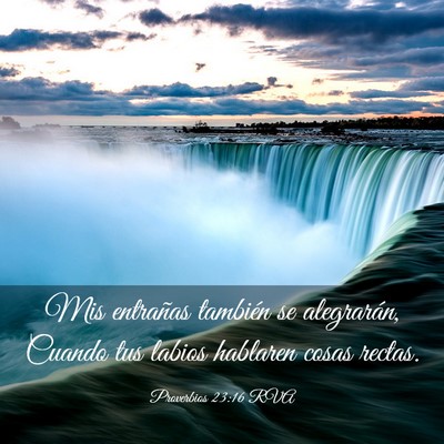 Picture 03 - Proverbios 23:16 RVA - Mis entrañas también se alegrarán, Cuando tus - Bible Verse Picture