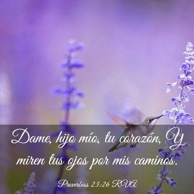 Picture 03 - Proverbios 23:26 RVA - Dame, hijo mío, tu corazón, Y miren tus ojos - Bible Verse Picture