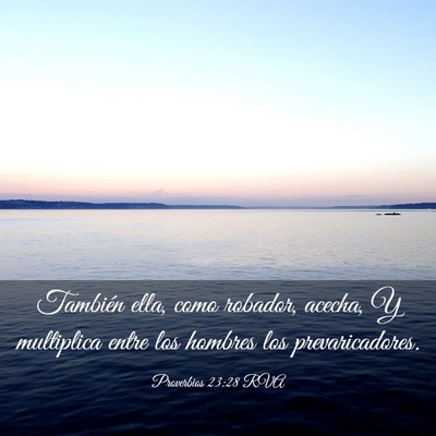 Picture 03 - Proverbios 23:28 RVA - También ella, como robador, acecha, Y multiplica - Bible Verse Picture