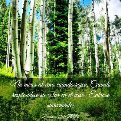 Picture 03 - Proverbios 23:31 RVA - No mires al vino cuando rojea, Cuando resplandece - Bible Verse Picture
