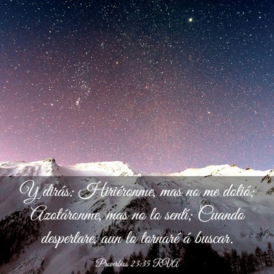 Picture 03 - Proverbios 23:35 RVA - Y dirás: Hiriéronme, mas no me dolió; - Bible Verse Picture