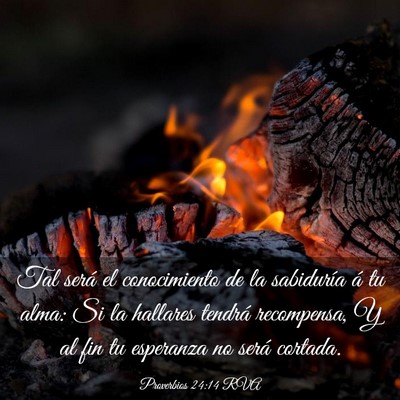 Picture 03 - Proverbios 24:14 RVA - Tal será el conocimiento de la sabiduría á tu - Bible Verse Picture