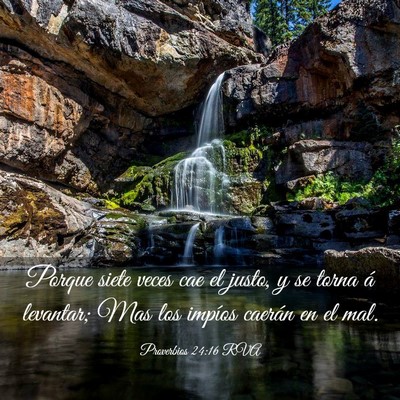 Picture 03 - Proverbios 24:16 RVA - Porque siete veces cae el justo, y se torna á - Bible Verse Picture