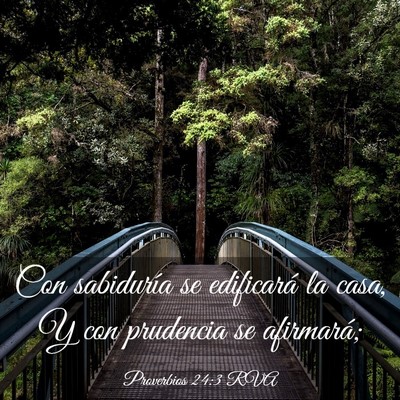 Picture 03 - Proverbios 24:3 RVA - Con sabiduría se edificará la casa, Y con - Bible Verse Picture
