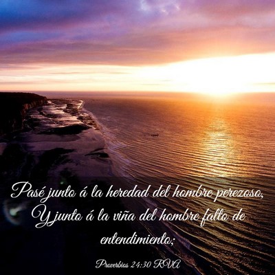 Picture 03 - Proverbios 24:30 RVA - Pasé junto á la heredad del hombre perezoso, Y - Bible Verse Picture