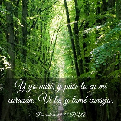 Picture 03 - Proverbios 24:32 RVA - Y yo miré, y púse lo en mi corazón: Vi lo, y - Bible Verse Picture