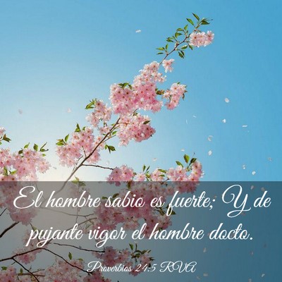 Picture 03 - Proverbios 24:5 RVA - El hombre sabio es fuerte; Y de pujante vigor el - Bible Verse Picture