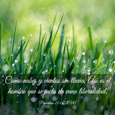 Picture 03 - Proverbios 25:14 RVA - Como nubes y vientos sin lluvia, Así es el - Bible Verse Picture