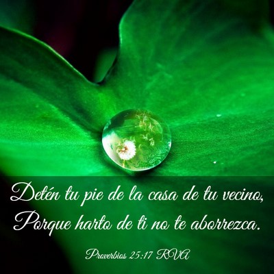 Picture 03 - Proverbios 25:17 RVA - Detén tu pie de la casa de tu vecino, Porque - Bible Verse Picture