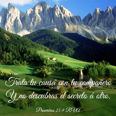 Picture 03 - Proverbios 25:9 RVA - Trata tu causa con tu compañero Y no descubras - Bible Verse Picture