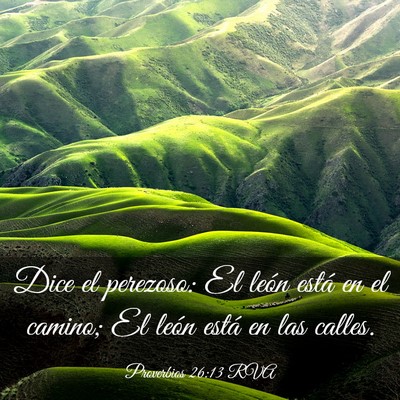 Picture 03 - Proverbios 26:13 RVA - Dice el perezoso: El león está en el camino; El - Bible Verse Picture