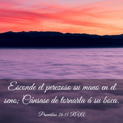 Picture 03 - Proverbios 26:15 RVA - Esconde el perezoso su mano en el seno; Cánsase - Bible Verse Picture